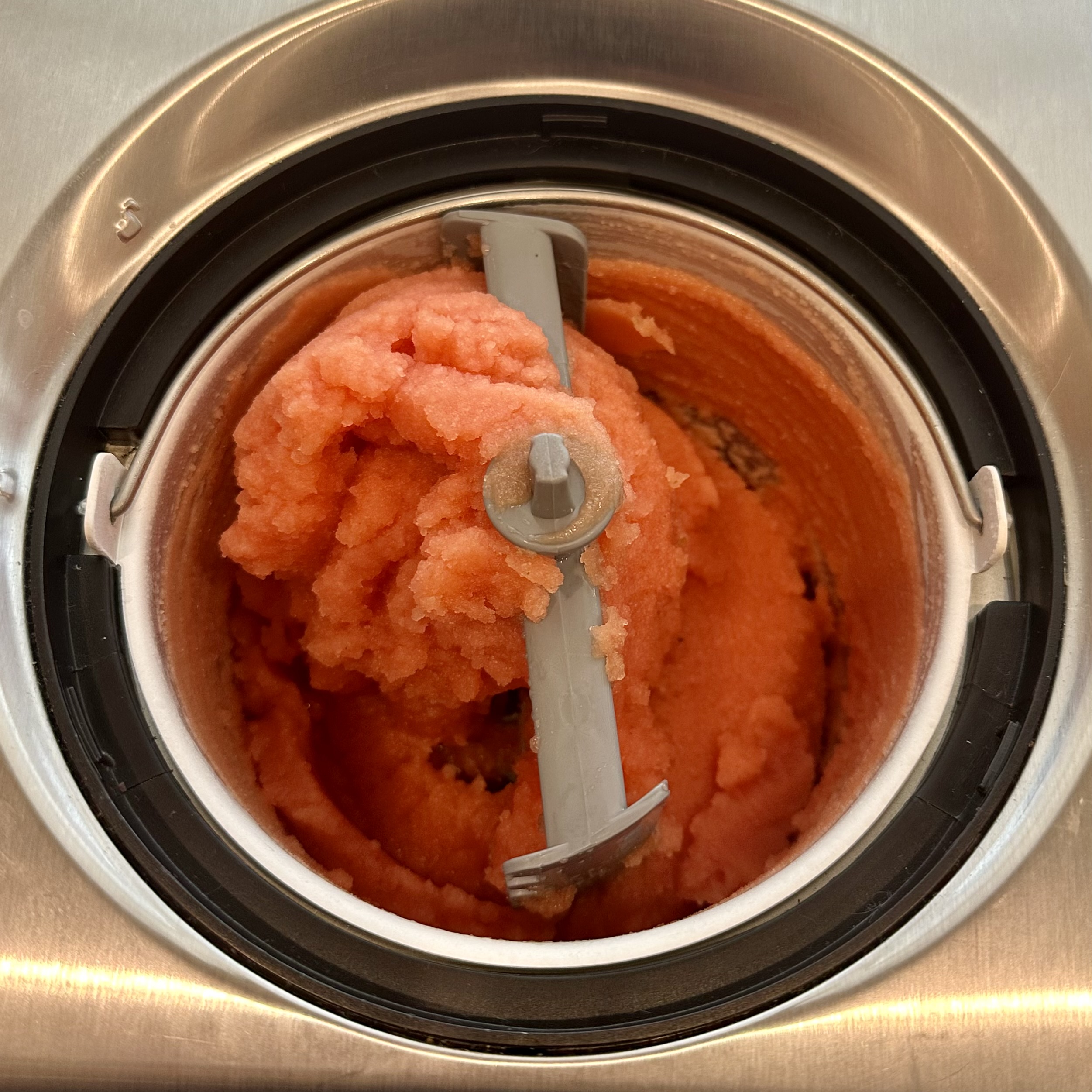 ICE-100 going to town